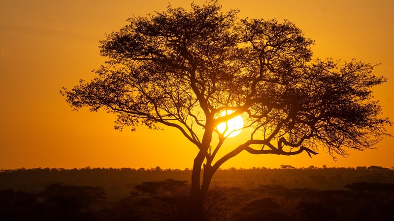 Serengeti National Park